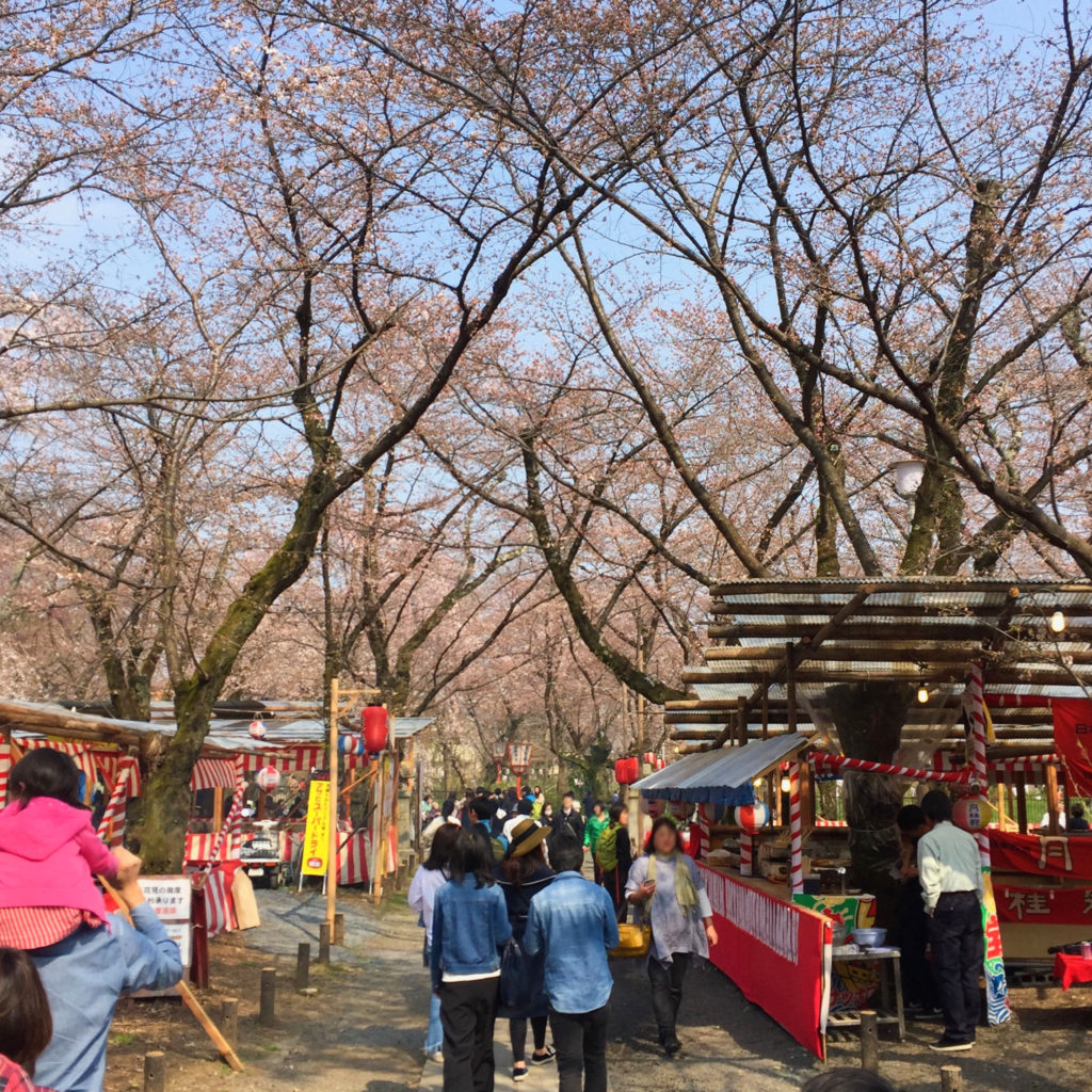 平野神社　桜茶屋